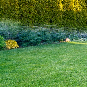 Spring Is Here: Time to Turn Your...